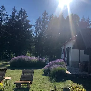 Brvnara Lavender Bribir Lukovo, Bribir (Primorje-Gorski Kotar)